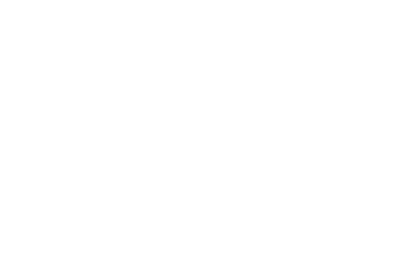 Southern Yankee, eXp Realty
